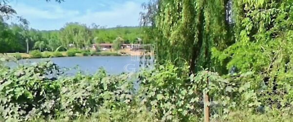 Eladó földterület Domony