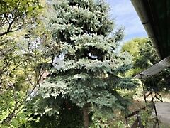 Eladó ház Budapest, III. kerület