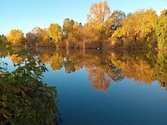 Eladó nyaraló Gyomaendrőd, Danzug
