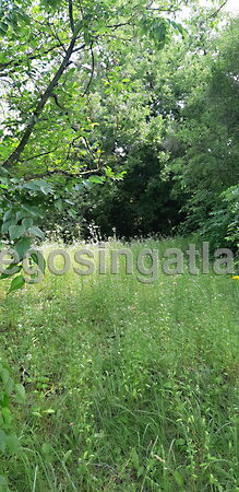 Eladó földterület Budapest, XVI. kerület