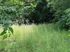 Eladó földterület Budapest, XVI. kerület