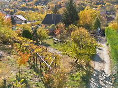 Eladó földterület Szekszárd, Felsőváros