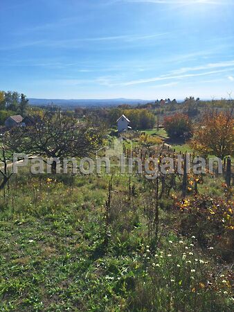 Eladó földterület Magyarpolány