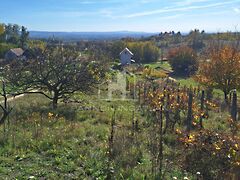 Eladó földterület Magyarpolány