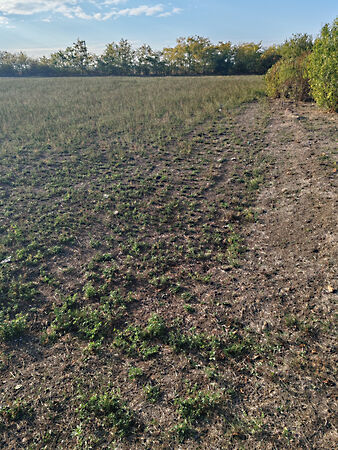 Eladó földterület Kengyel