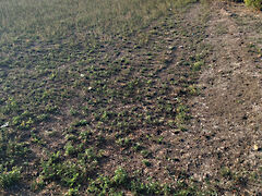 Eladó földterület Kengyel