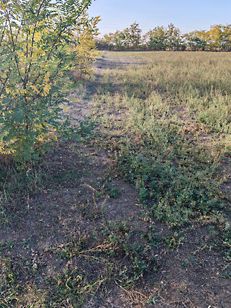 Eladó földterület Kengyel