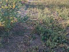 Eladó földterület Kengyel