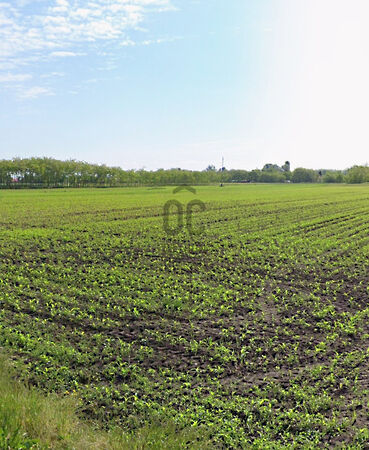 Eladó földterület Abony