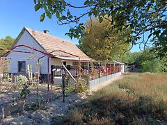 Eladó ház Kiskunhalas