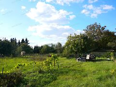 Eladó földterület Mosonszentmiklós, Mosonújhely