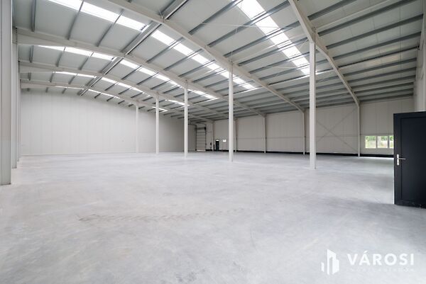 Eladó üzleti Alsónémedi