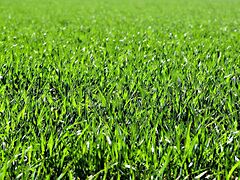 Eladó ipari Balatonföldvár