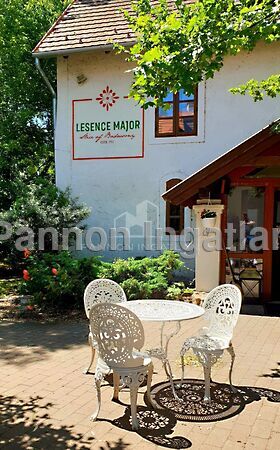 Eladó üzleti Lesencetomaj