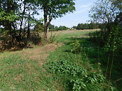 Eladó földterület Aba