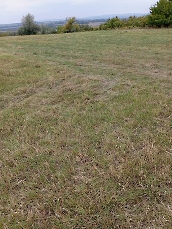 Eladó földterület Bicske