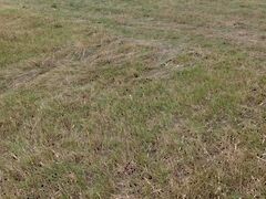 Eladó földterület Bicske