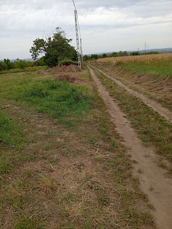 Eladó földterület Bicske