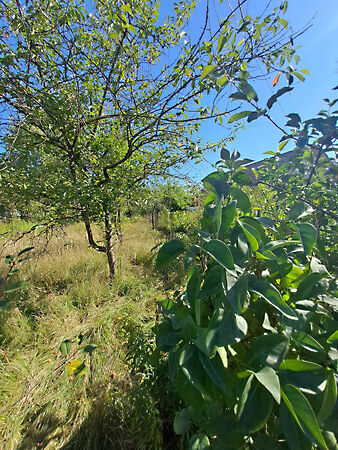 Eladó földterület Debrecen, Pac