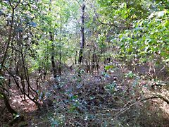 Eladó földterület Sukoró