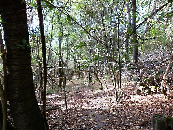 Eladó földterület Sukoró