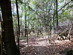 Eladó földterület Sukoró