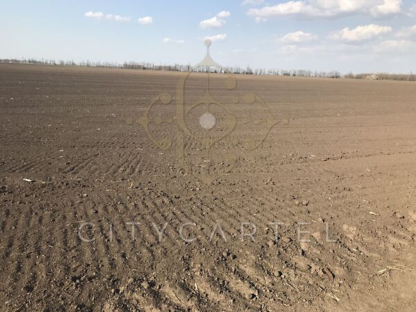 Eladó földterület Tótkomlós