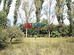 Eladó ház Biatorbágy