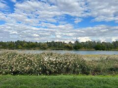 Eladó földterület Mezőtúr