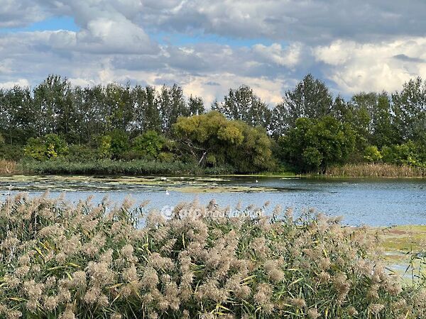 Eladó földterület Mezőtúr