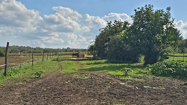 Eladó nyaraló Balatonberény