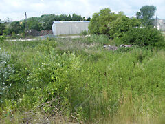 Eladó földterület Zalaegerszeg