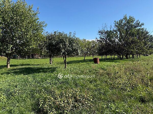 Eladó földterület Mezőtúr