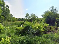 Eladó földterület Ordacsehi