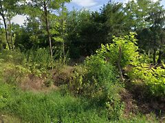 Eladó földterület Ordacsehi