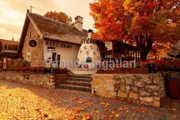 Eladó üzleti Tihany