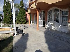 Eladó ház Érd, Érdliget