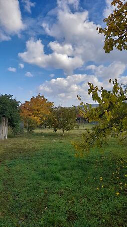 Eladó földterület Látrány