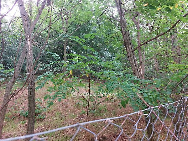 Eladó nyaraló Gomba