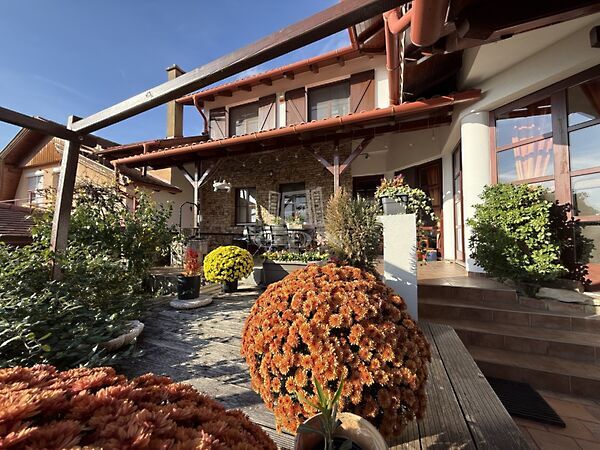 Eladó ház Székesfehérvár