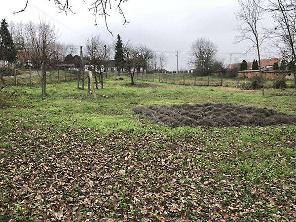 Eladó földterület Olasz