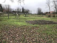 Eladó földterület Olasz