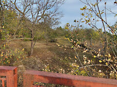Eladó földterület Szolnok, Szandaszőlős