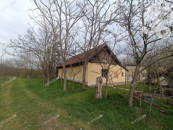 Eladó ház Pálmonostora