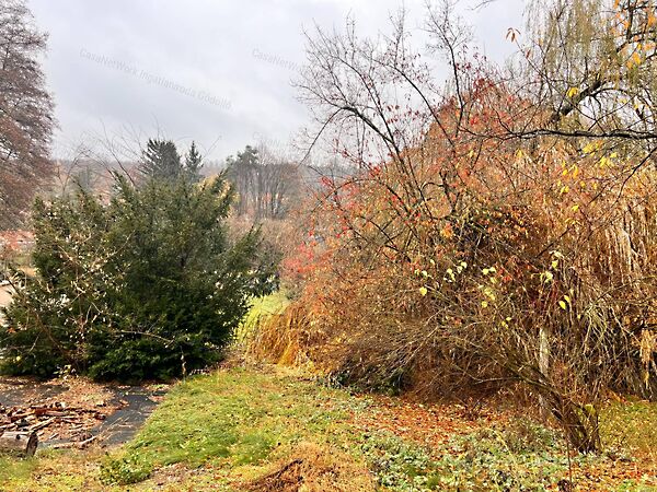 Eladó földterület Domony