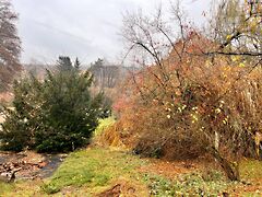 Eladó földterület Domony