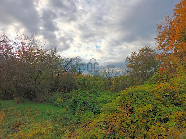 Eladó földterület Türje