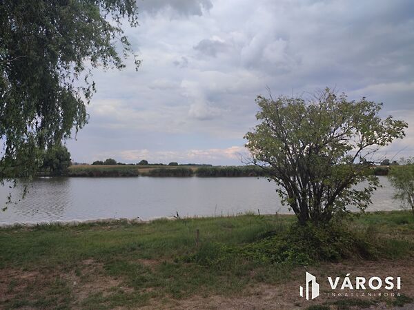 Eladó földterület Röszke