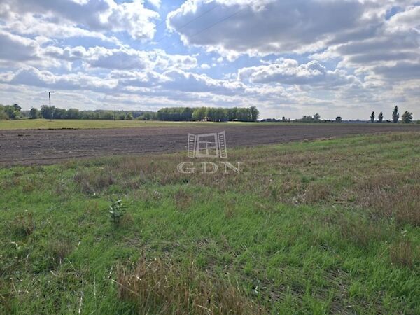 Eladó földterület Kerekegyháza