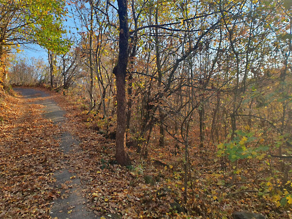 Eladó földterület Gyulakeszi